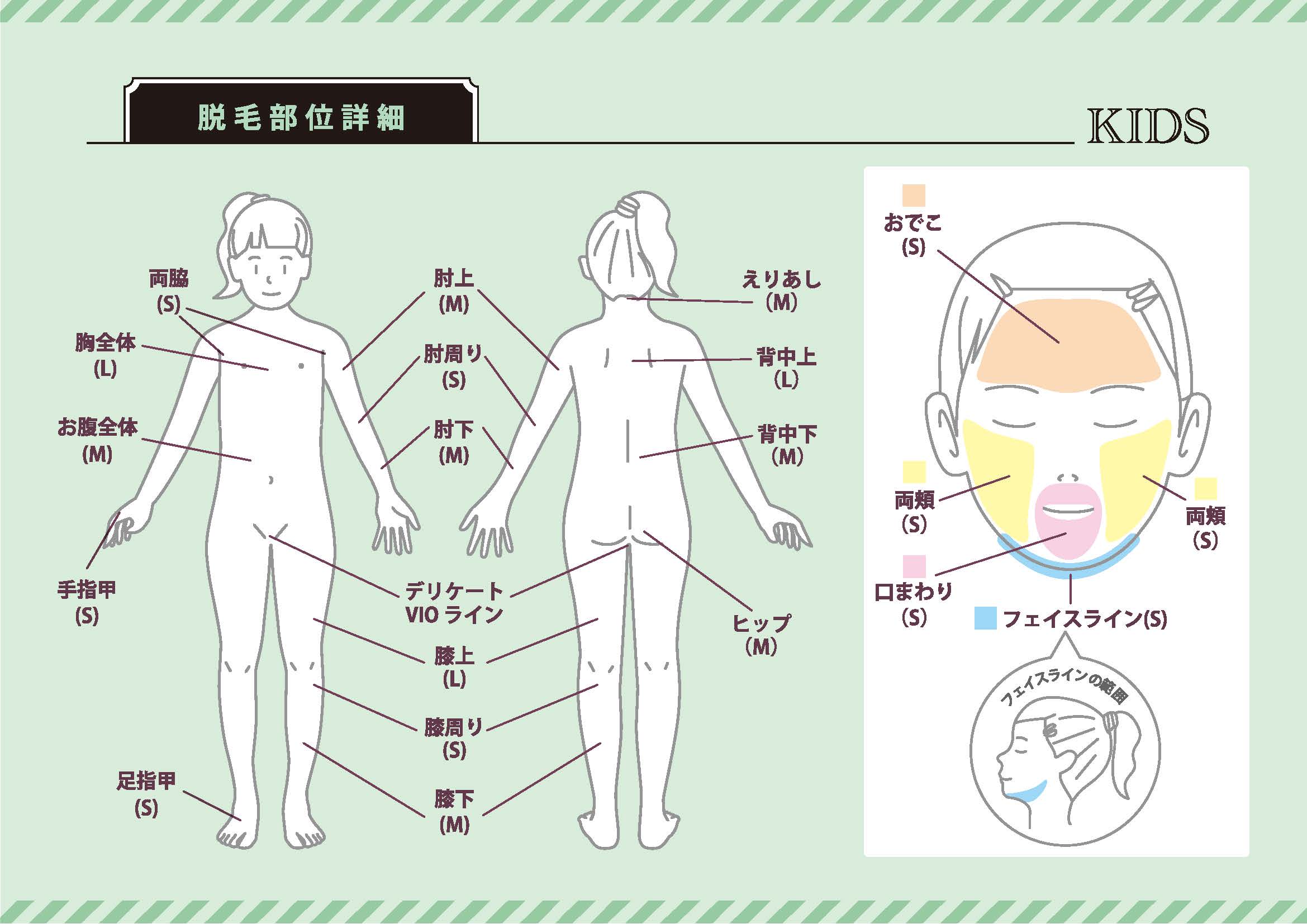 メンズ脱毛可能部位一覧_3